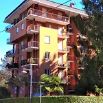 Pettirosso * 斯特雷萨