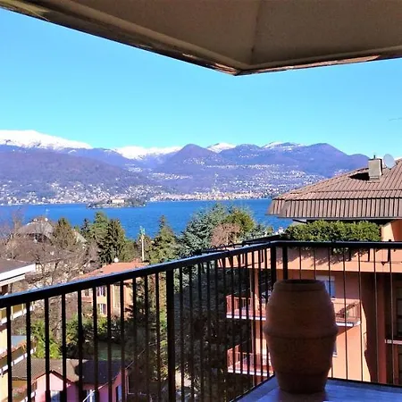 Pettirosso * Stresa