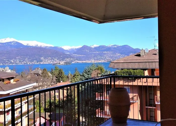 Pettirosso * Стреза